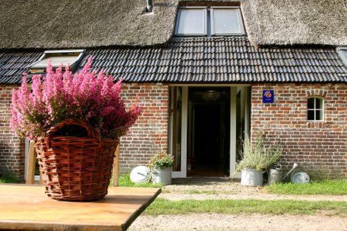 Bed And Breakfast Annen エクステリア 写真